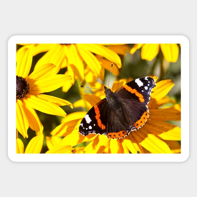 Red Admiral;Yellow Flower Sticker by Violaman